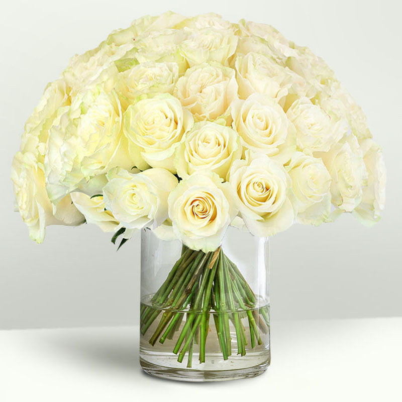 Batch of premium White Roses.