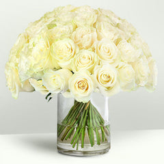 Batch of premium White Roses.