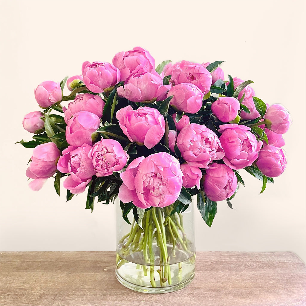 Bouquet of pink peonies.