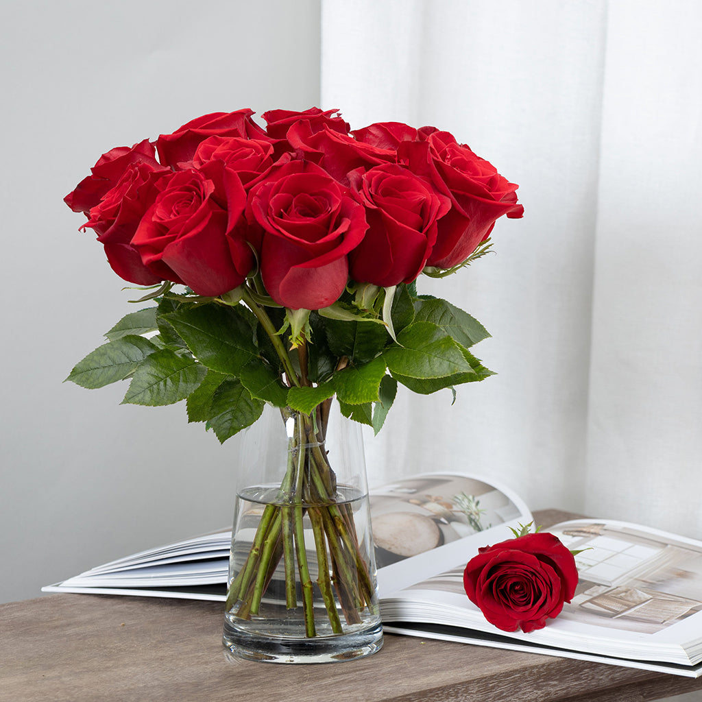 12 Stems of Premium Red Freedom Roses.
