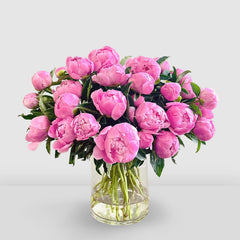 Fresh Peonies