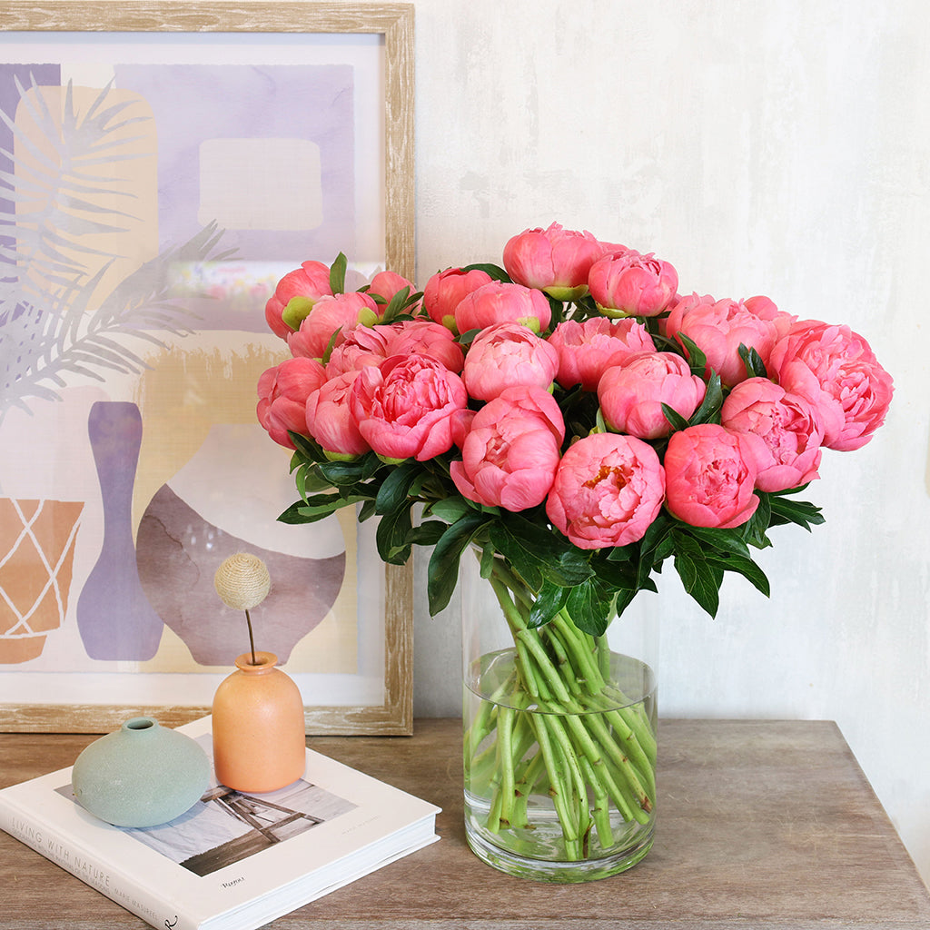 Bouquet of coral peonies.